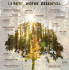 elvenfetedelarbre_arbre-expo.png