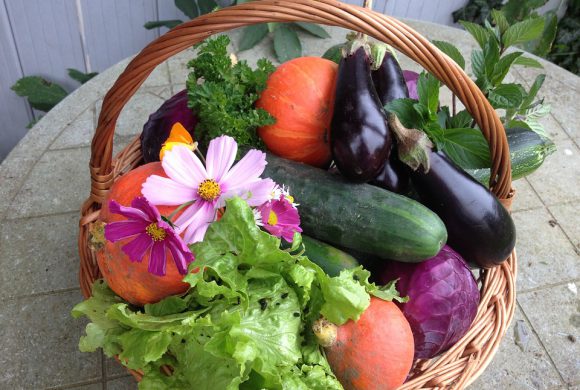 Envie de jardinage ?