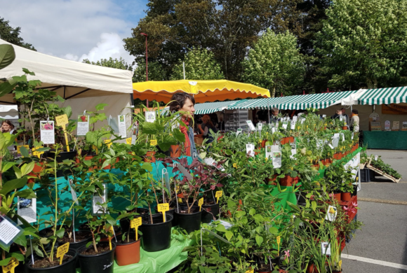 MARCHÉ BIO