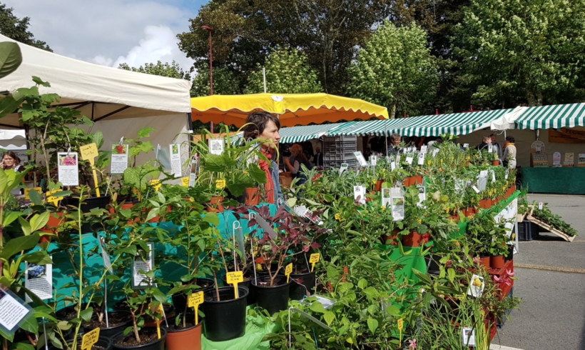 MARCHÉ BIO
